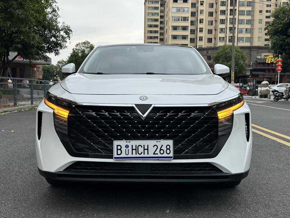 Venucia Big V 2022 260T King Edition