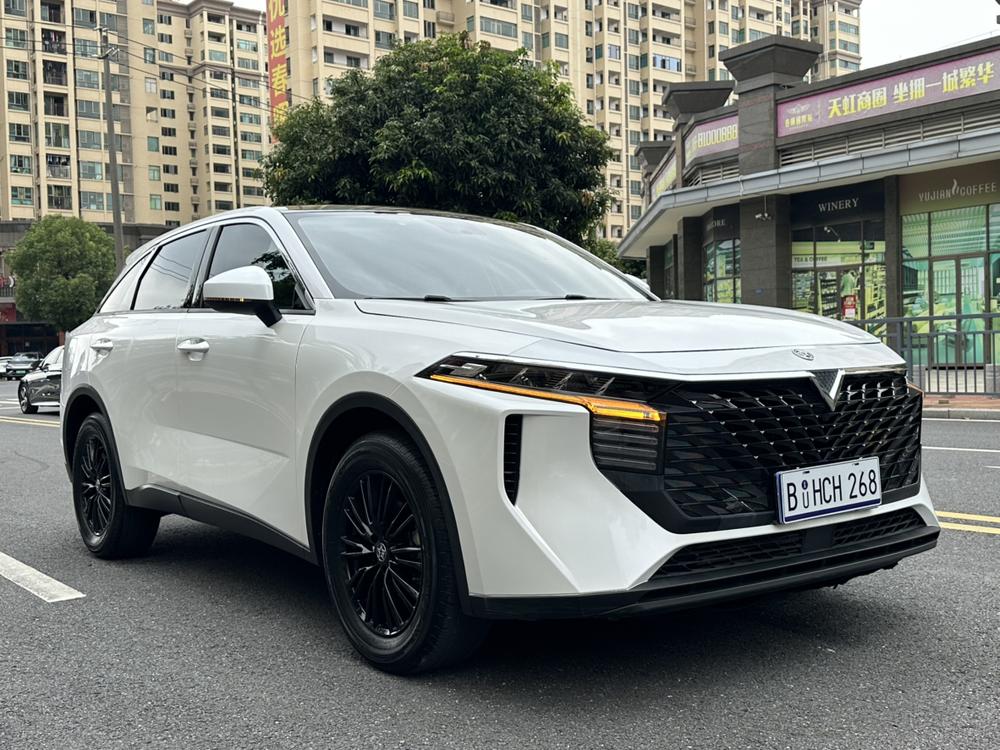Venucia Big V 2022 260T King Edition