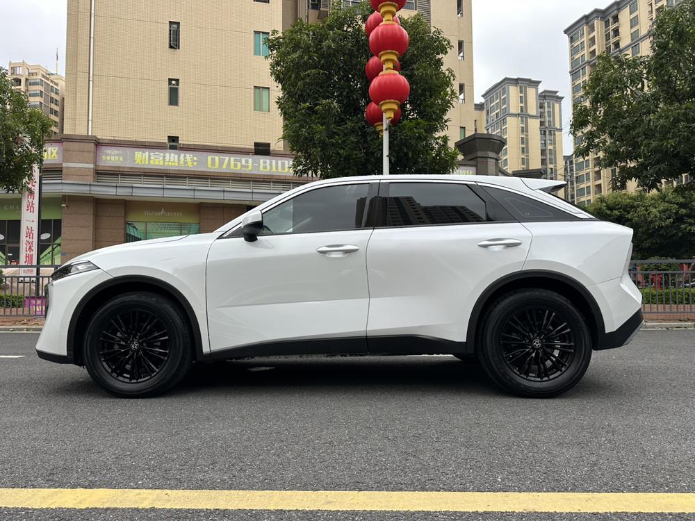 Venucia Big V 2022 260T King Edition