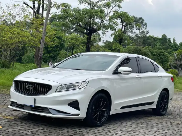 Geely Borui 2021 Model 1.8T Pilot Edition +