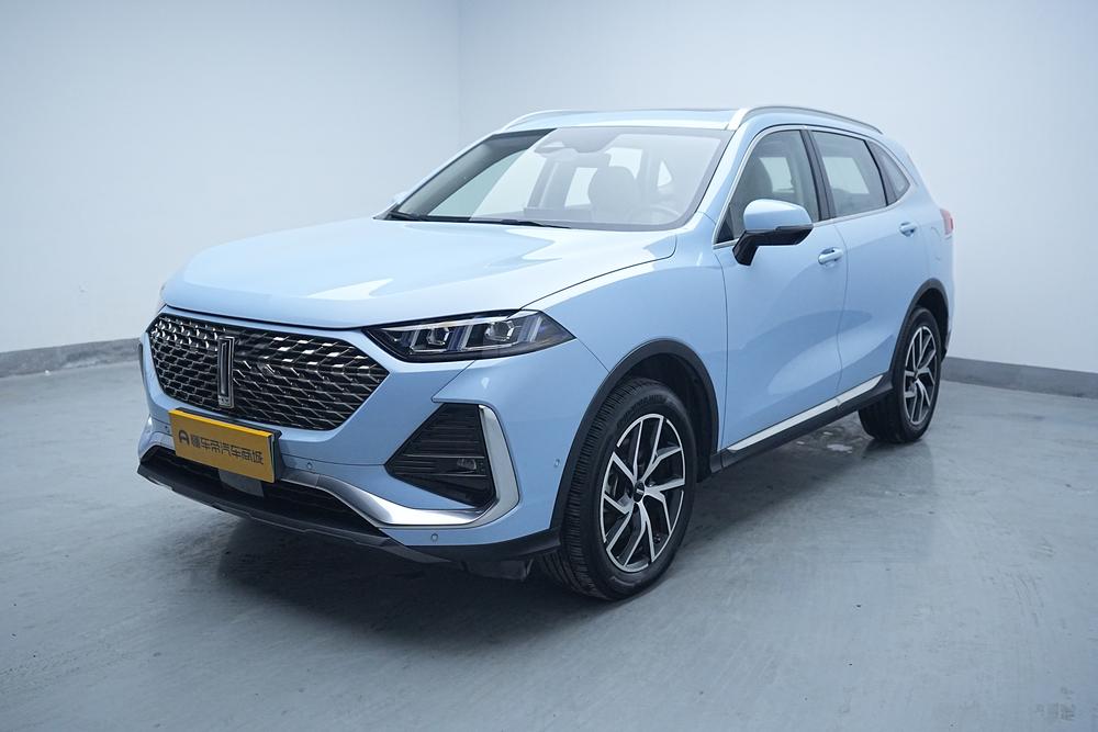 WEY Latte PHEV 2022 1.5T 2WD Super Large Cup
