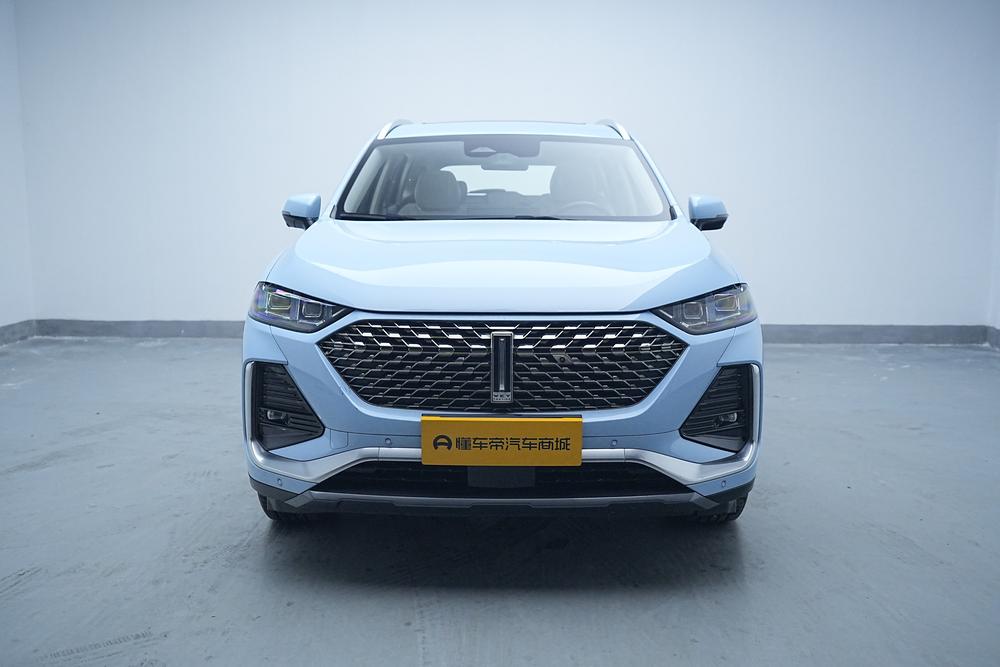 WEY Latte PHEV 2022 1.5T 2WD Super Large Cup