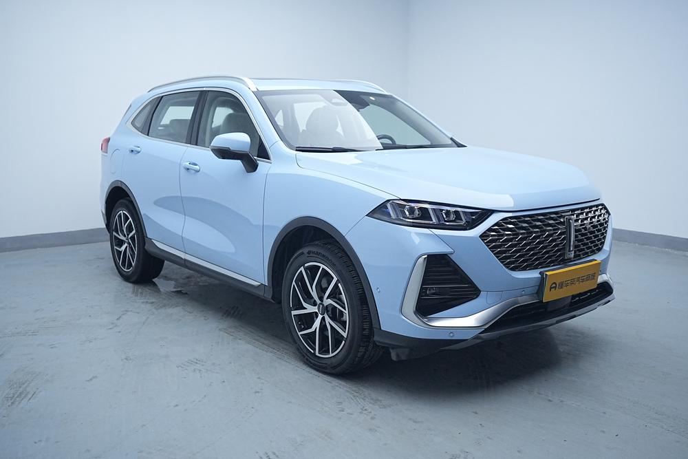 WEY Latte PHEV 2022 1.5T 2WD Super Large Cup