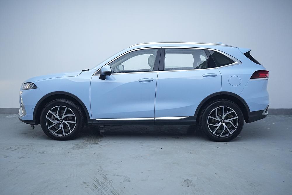 WEY Latte PHEV 2022 1.5T 2WD Super Large Cup