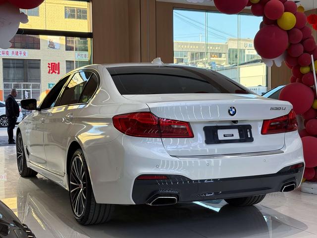 BMW 5 Series 2019 530Li Leader M Sport Package – фото 8