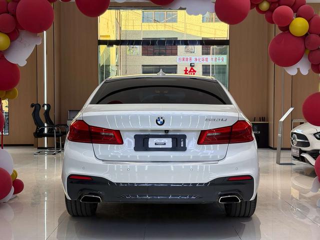 BMW 5 Series 2019 530Li Leader M Sport Package – фото 9