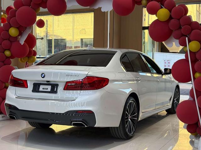 BMW 5 Series 2019 530Li Leader M Sport Package – фото 10