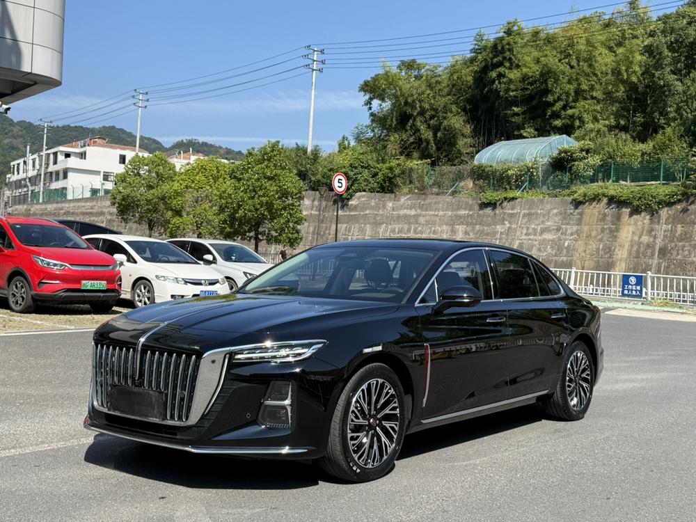 Hongqi H5 2024 2.0T Automatic Smart Connect Flag Smooth