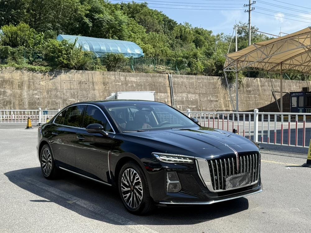 Hongqi H5 2024 2.0T Automatic Smart Connect Flag Smooth