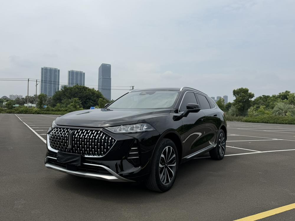 Mocha Модель 2021 года 2.0T 2WD Strong Edition