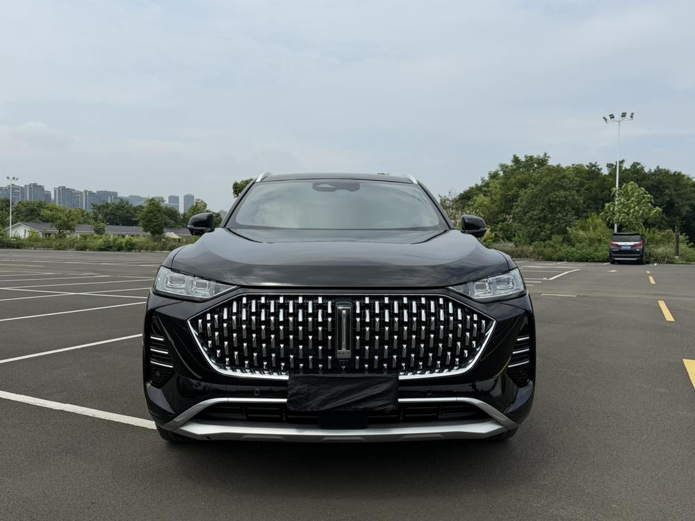 Mocha Модель 2021 года 2.0T 2WD Strong Edition