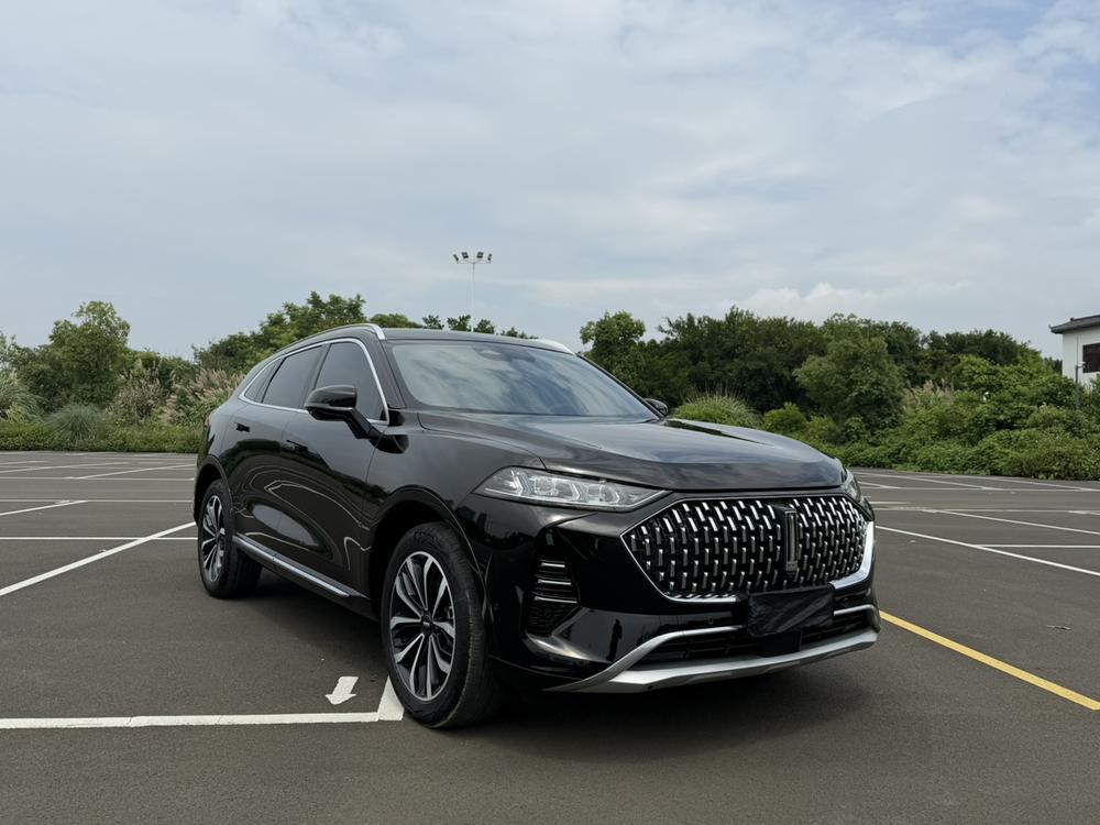 Mocha Модель 2021 года 2.0T 2WD Strong Edition