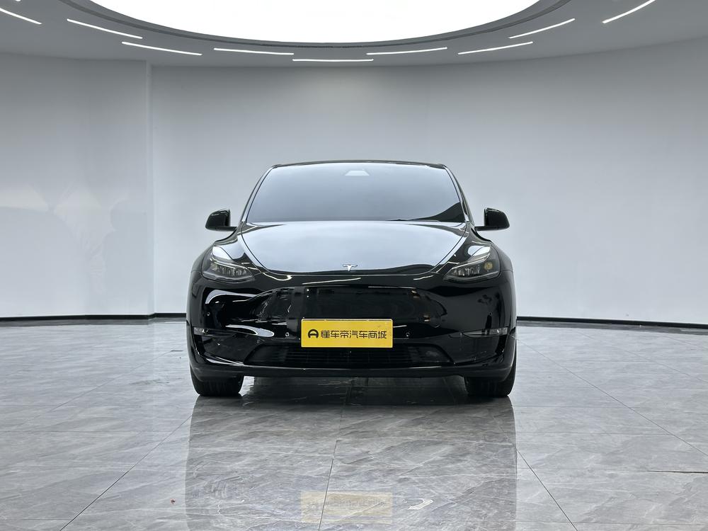 Tesla Model Y 2021 Performance AWD