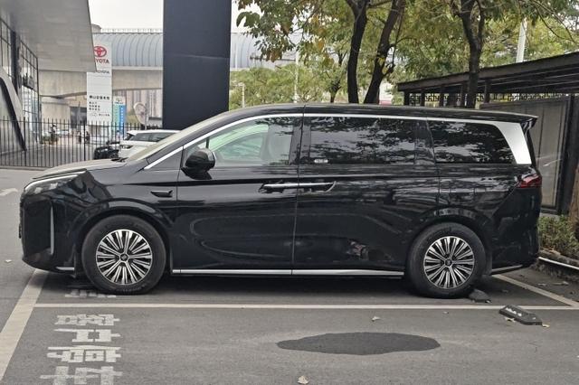 BYD Sea Lion 05 DM 2025 Smart Drive DM-i 115KM Flagship – фото 3