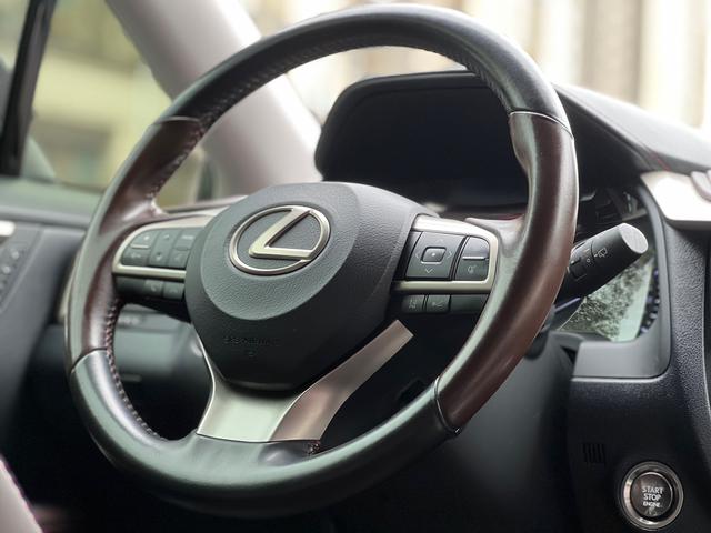 Lexus RX Модель 2020 года комплектация 300 4WD Elegant Edition – фото 11