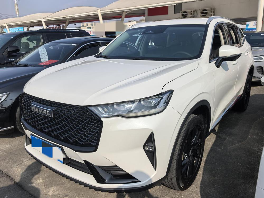 Haval H6 2021 Third Generation 2.0T Automatic 4WD Max Edition