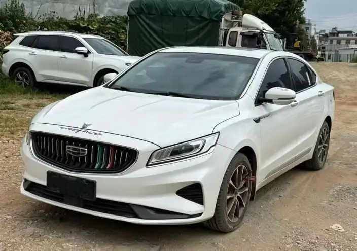 Geely Borui 2021 Model 1.8T Pilot Edition