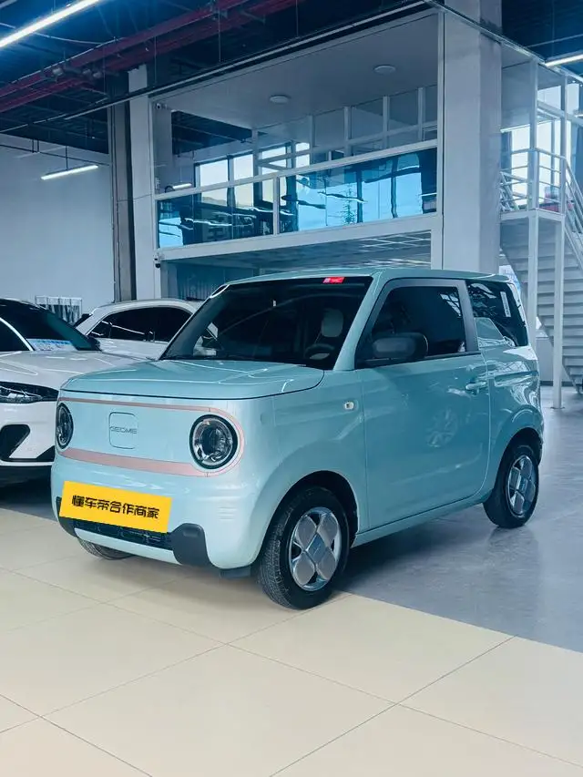 Panda 2024 Model 200km Panda Knight
