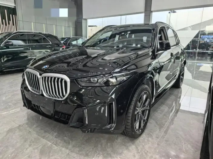 BMW X5 2023 Model xDrive30Li Exclusive Model M Sports Set