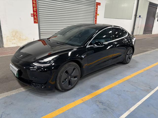 Tesla Model 3 2019 Standard Range RWD Upgrade – фото 1