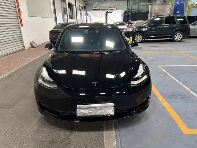 Tesla Model 3 2019 Standard Range RWD Upgrade – фото 2