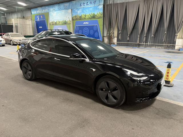 Tesla Model 3 2019 Standard Range RWD Upgrade – фото 3