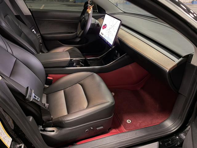 Tesla Model 3 2019 Standard Range RWD Upgrade – фото 4