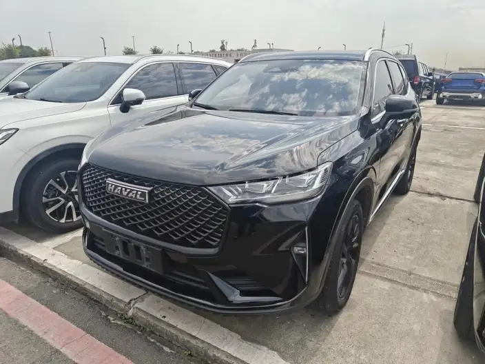 Haval H6 2021 Model Third generation 2.0T Automatic 4WD Max Edition