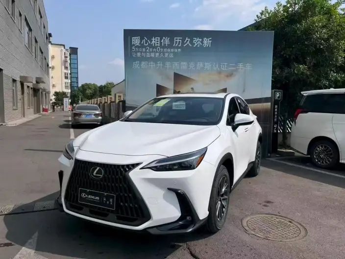 Lexus NX 2025 Model 200 Qian Drive FUN