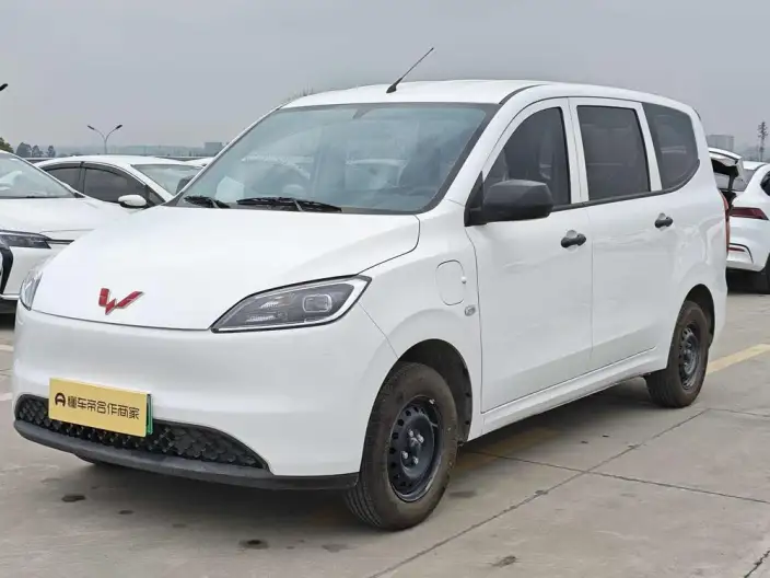 Wuling Hongguang EV Edition 2024 Model 300KM Standard Model