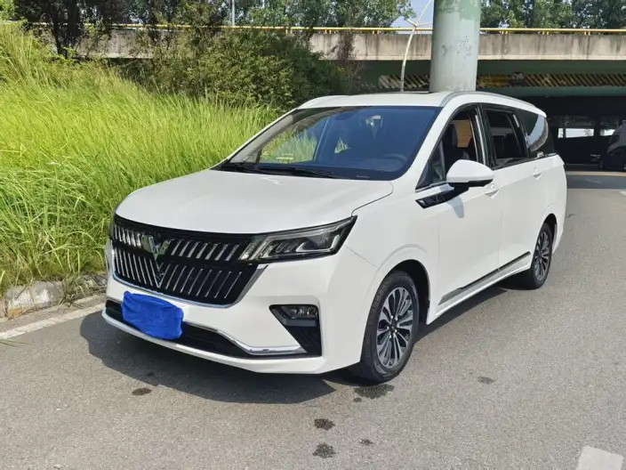 WULING Jiachen 2022 Model 1.5T CVT Smart Enjoy Luxury Model