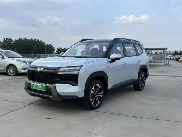 Xingguang 560 PHEV 2026 Model 125km Luxury Model