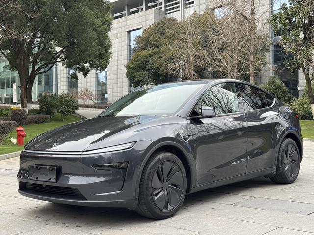 Tesla Model Y 2025 Long Range AWD – фото 1
