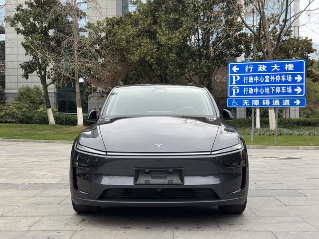 Tesla Model Y 2025 Long Range AWD – фото 2