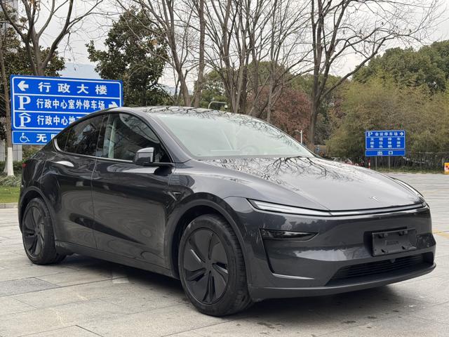 Tesla Model Y 2025 Long Range AWD – фото 3
