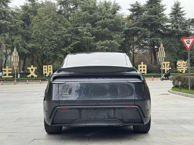 Tesla Model Y 2025 Long Range AWD – фото 10