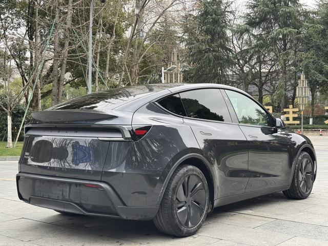 Tesla Model Y 2025 Long Range AWD – фото 11