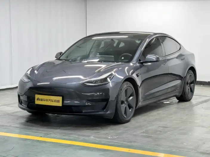 Model 3 2021 Model Standard Battery Life Rear Drive L Class Edition 3D1
