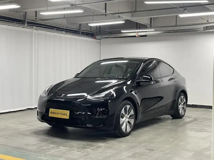 Model Y 2021 Model Standard Battery Life Rear-wheel drive version