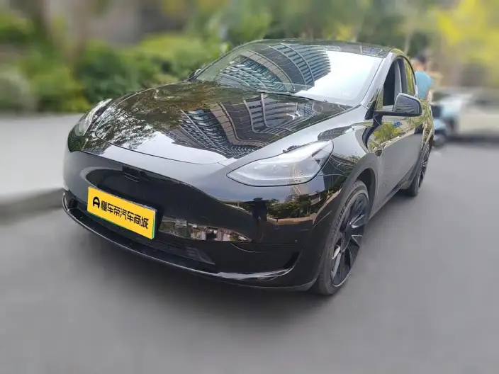 Model Y 2022 Model Rear-wheel drive version