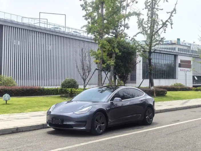 Model 3 2020 Model Standard Battery Life Rear Drive L Class Edition