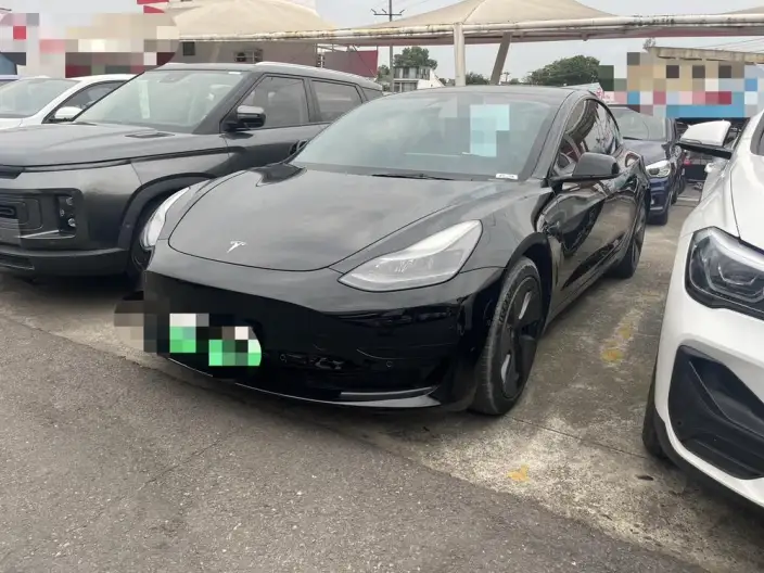 Model 3 2021 Model Standard Battery Life Rear Drive L Class Edition