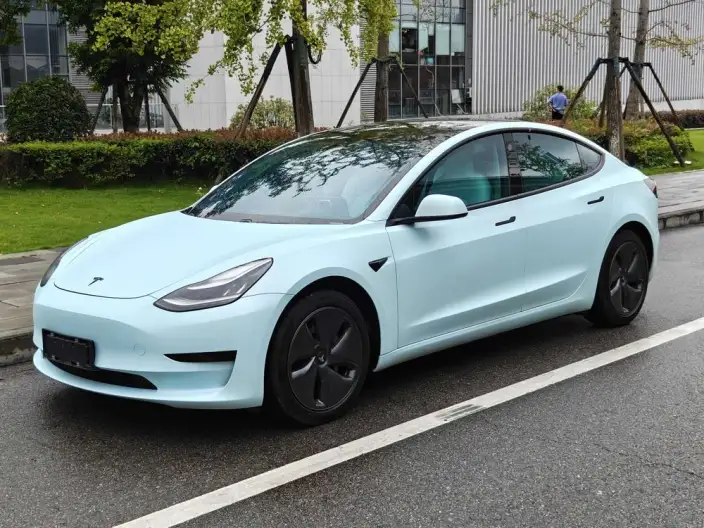 Model 3 2020 Model Standard Battery Life Rear Drive L Class Edition