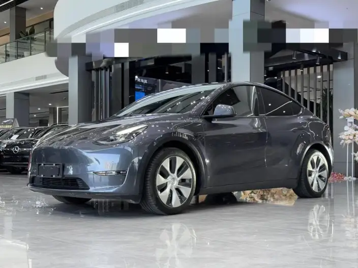 Model Y 2021 Model Long Battery Life Pro All-wheel drive version