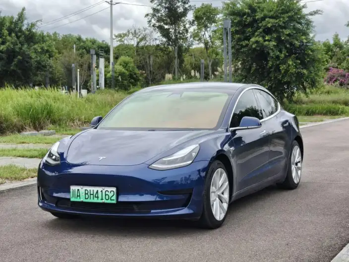 Model 3 2020 Model Standard Battery Life Rear Drive L Class Edition
