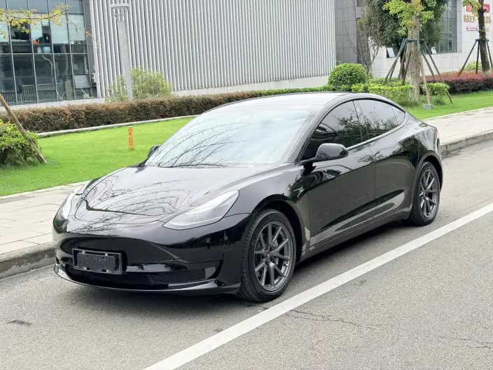 Model 3 2021 Model Standard Battery Life Rear Drive L Class Edition