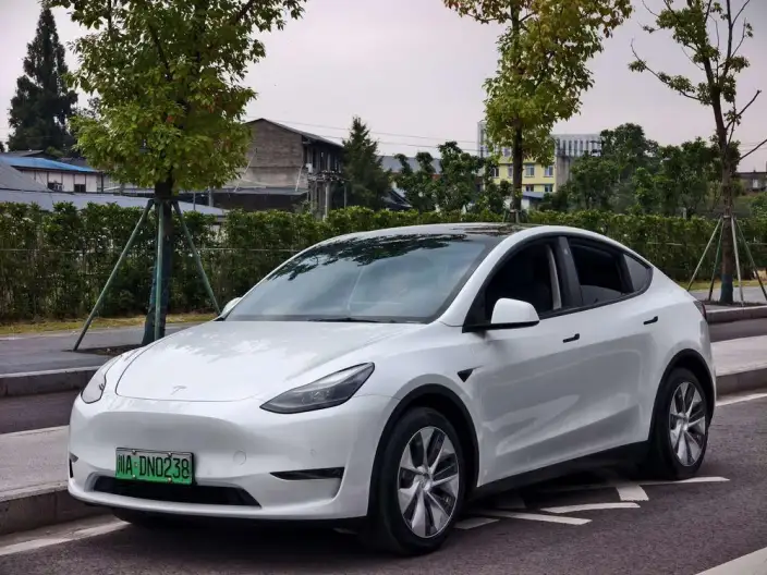 Model Y 2021 Model Standard Battery Life Rear-wheel drive version