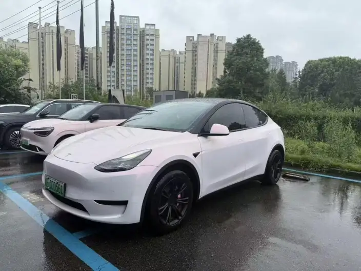 Model Y 2022 Model Facelift Rear-wheel drive version