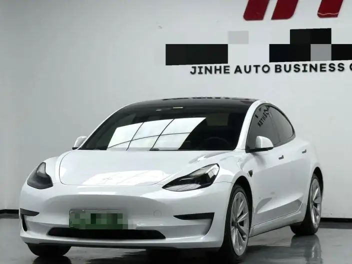 Model 3 2021 Model Standard Battery Life Rear Drive L Class Edition