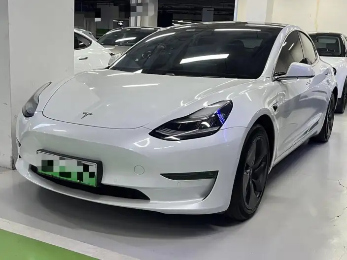 Model 3 2020 Model Long Battery Life Pro Rear-wheel drive version